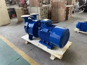 2bv 5110 5111 380v High Pressure Cast Iron Air Delivery Pump Stainless Steel Water Liquid Ring Vacuum Pump