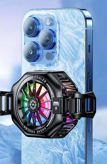 Tl05-un modèle de glaçage