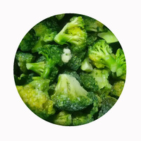 Brócoli Congelado XMSD 1 kg x 10 Paquetes por Caja para Distribución de Comestibles Importados y Programas de Venta Minorista de Formato Pequeño