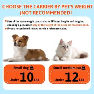 Sac de transport pour animaux de compagnie à roulettes, extensible, souple, pour voyages et sorties <span class=keywords><strong>en</strong></span> plein air, personnalisé, pour petits chats et chiens, avec verrouillage de sécurité - Product Image 4