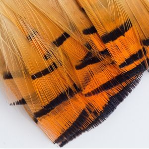 Vente en gros de plumes Offre Spéciale plumes de tête de faisan doré naturel pour la pêche à la mouche montage de mouches - Product Image 3