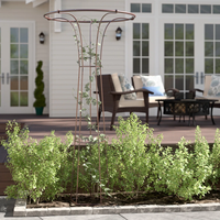 Treillis de jardin en métal en forme de parapluie, support de plante haut et antirouille, obélisque pour plantes grimpantes, fleurs, décoration extérieure de jardin