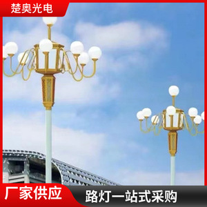 Lampadaire LED de style chinois Magnolia, étanche IP65, 8/9/10 mètres, multi-têtes, pour routes municipales - Product Image 3