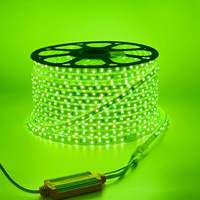 Bande lumineuse LED RVB AC110V 220V IP65 SMD 5050 10W 14MM 60leds/m 96leds/m 144leds/m Rouleau de 100m Bande LED intelligente avec télécommande