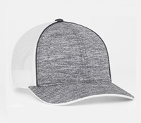 Gorra de béisbol de poliéster de 6 paneles personalizada OEM gorra de conductor de camión deportiva unisex con ala curva gorra de camionero al por mayor imagen de personaje