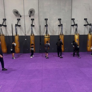 Supports robustes pour <span class=keywords><strong>sac</strong></span> <span class=keywords><strong>de</strong></span> <span class=keywords><strong>frappe</strong></span> <span class=keywords><strong>de</strong></span> boxe commercial <span class=keywords><strong>Everlast</strong></span> avec couleurs personnalisables - Product Image 6