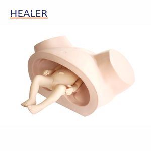 Simulador de entrenamiento de parto femenino de <span class=keywords><strong>ginecología</strong></span>, modelo de partería para trabajo anormal, maniquí de ciencia médica para escuelas - Product Image 6