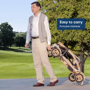Ultra Light Magnesium Electric Scooter Portable Folding Powerful Brushless Handicapped Scooter