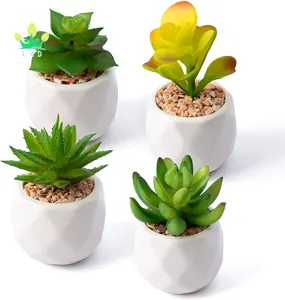 Mini suculentas artificiais, conjunto de suculentas em potes, suculentas artificiais com vasos de cerâmica branca