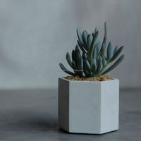 Pot de fleurs minimaliste blanc nordique personnalisable avec logo et couleur, en béton écologique de haute qualité, pot décoratif en gros