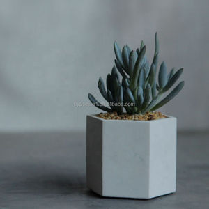 <span class=keywords><strong>Vaso</strong></span> Esagonale Moderno Personalizzabile con Logo, <span class=keywords><strong>in</strong></span> <span class=keywords><strong>Cemento</strong></span> Ecologico di Alta Qualità, Stile Nordico Bianco Minimalista, per Fiori e Decorazioni - Vendita all'Ingrosso - Product Image 3