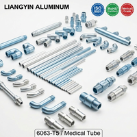 LIANGYIN certifié ISO 9001, tube en profil T en alliage d'aluminium 6063 sur mesure, soudé et thermolaqué pour générateur d'oxygène médical