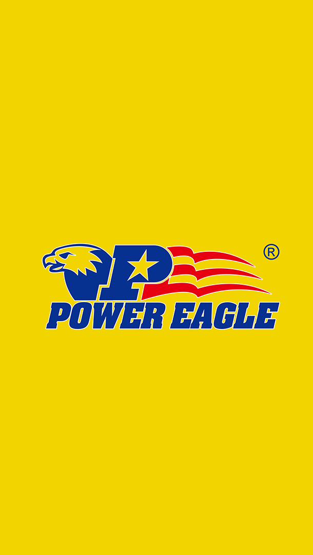 POWER EAGLE INTERNATIONAL LIMITED logo