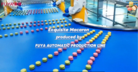 Ligne de production automatique industrielle Macaron 530 kg/h
