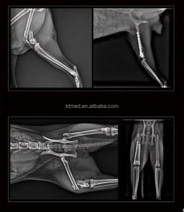 Scanner CT portable 220V avec faible dose de rayonnement et logiciel de diagnostic IA pour diagnostic vétérinaire - Product Image 6