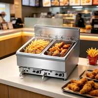 Friteuse professionnelle à gaz double cuve en acier inoxydable pour comptoir, idéale pour la friture de pommes de terre et de poulet
