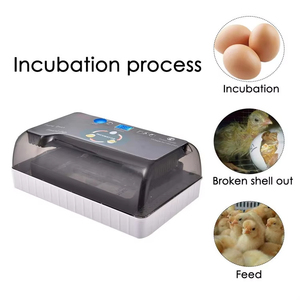 Incubateur d'œufs miniature 12 places le plus vendu pour œufs de canaris et de reptiles avec contrôle intelligent de la température, éclosoir automatique 40W - Product Image 4