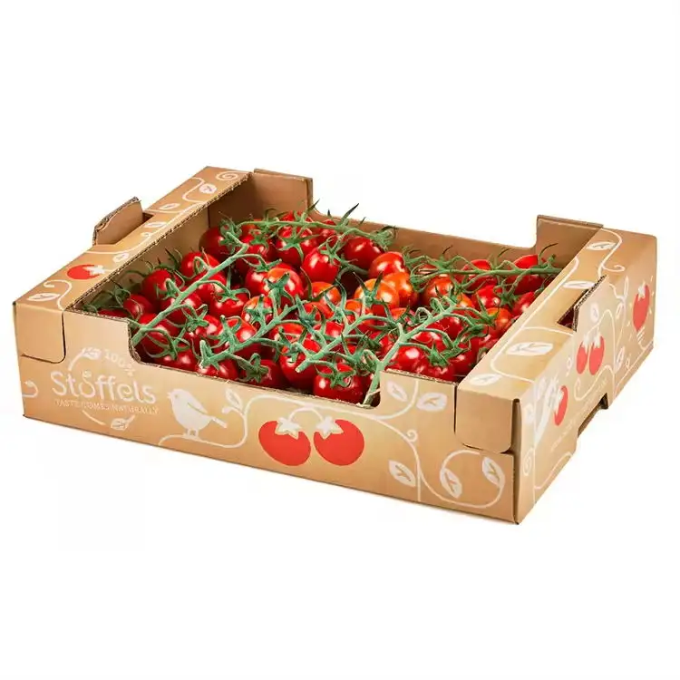 China Großhandel starker Karton aus Wellpappe Box für Ausstellung Obst Gemüse Verpackung Kartonpapierbox für Versand