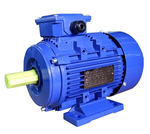 Produsen Hilr, <span class=keywords><strong>Motor</strong></span> AC Asinkron Tiga Fasa, Kecepatan 960, 0.25HP, 0.37HP, 0.5HP, 0.75HP, 1HP, 1.5HP, 2HP, 3HP, 4HP, 5HP, 7.5HP - Product Image 1