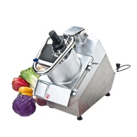 Multifunctionele elektrische groentesnijder/commerciële aardappel- en uien snijmachine/groente- en fruitsnij- en raspmachine