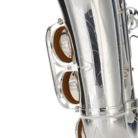 Silver Plated Eb Alto Saxophone-Professional Brass Instrument YTM-710 with Rust Resistant Finish Case & Accessories