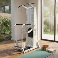 Machine de traction assistée et de dips avec pile de poids en acier pour salle de sport commerciale - Exercice pour le dos et les bras