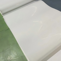 Nouvelles feuilles de plastique PP Centry pour courroies de fumier de cages d'élevage de volailles, garantie 5 ans, entrepôt Jiangsu