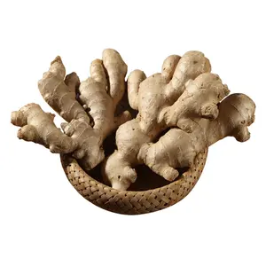 Fresh dried ginger price per kg dry ginger Chinese adrak low price new crop high quality ginger fresh for wholesale