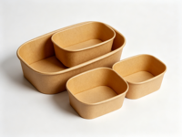 Assiette rectangulaire robuste en canne à sucre compostable, biodégradable, jetable, écologique, résistante à la chaleur et compatible micro-ondes pour les fêtes et la restauration