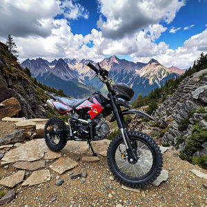 <span class=keywords><strong>Moto</strong></span> de poche 125cc avec CE Dirt Bike pour adulte - Product Image 1