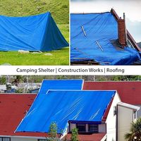 Bâche en PE robuste, stabilisée aux UV, imperméable, renforcée, résistante aux déchirures, sur mesure, vente en gros industrielle, directement de l'usine