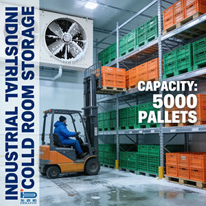 Chambre de congélation modulaire préfabriquée, conception extensible, <span class=keywords><strong>moteur</strong></span> Copeland pour le stockage agricole à grande échelle, logistique - Product Image 1