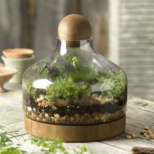 hausgemachte desktop-dekoration glas terrarium für glas und holz pflanzen terrarium mit holzsockel & kugel - Product Image 2
