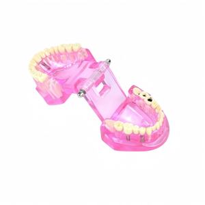 Protesi dentale, plastico dentale modello denti, restauro con impianto - Product Image 3