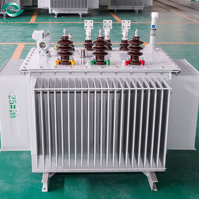 Professional Manufacturer's 800kva Dyn11/Yyn0 Oil-Filled Transformer for Power Plants Three 10kv Input/220v 380v 110v 440v