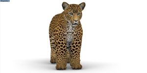 Tigre inflable realista, personaliza animales salvajes inflables, explota el tigre <span class=keywords><strong>salvaje</strong></span> inflable - Product Image 6