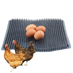 Nouvelles Tapis de Nidification en PP Faciles à Laver avec Garantie 1 An pour Poulaillers, Alvéoles à Œufs, Litière pour Poules, Boîtes de Nidification, Tapis en Paille Plastique - Product Image 1
