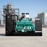Groupe électrogène diesel de type ouvert 40 kW 50 kVA fourni par un fabricant OEM pour l'industrie, la construction et les centres de données