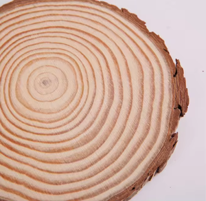 Scaglie di Legno di Pino, Fai-da-Te, Lucidate a Mano, con Anelli Annuali e Venature del Legno, per Decorazioni Domestiche e Materiali Fotografici, per Produttori - Product Image 6