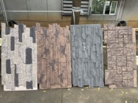 Relief de pierre artistique européen de panneau de mur de faux faisceau 3D en plastique léger et durable pour le matériau de construction d'hôtel