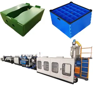 야채 과일 해산물 상자 만들기 기계 저렴한 플라스틱 PP 골판지 중공 시트 압출 기계 라인 제조업체