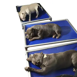 Venta al por mayor cojín moderno extraíble de moda perro humano cama elástica elevada de aluminio gato mascota XXL casas y muebles para mascotas