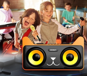 Altavoz Karaoke Inalámbrico Portátil con Doble Micrófono, Altavoz con <span class=keywords><strong>Sonido</strong></span> Estéreo para KTV Familiar y Entretenimiento en Fiestas - Product Image 5