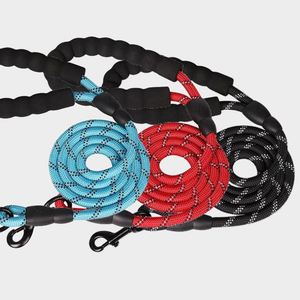 Laisse pour chien de luxe en sangle de nylon robuste personnalisée, en polyester, colorée, de créateur, avec corde réfléchissante pour animaux de compagnie - Product Image 1
