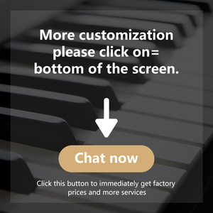 <span class=keywords><strong>Mini</strong></span> teclado de Piano Digital portátil de 49 teclas Órgano electrónico de plástico negro 300 Sonidos incorporados Altavoces incorporados AUX Tipo-C - Product Image 6