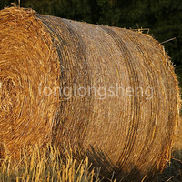 Wrap Net Bale/Hay Net Raschel Kett strick maschine Für die Landwirtschaft