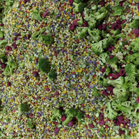 Guoyue 100% Natuurlijke Fruitchips Groenten Op Maat Gevriesdroogd Fruit Huisdiervoeder Snacks Gevriesdroogde Gemengde Groenten Voor Huisdieren