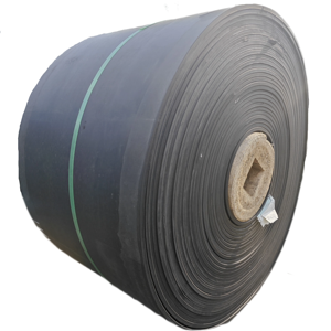 Kum ve çakıl için 12mm kalınlığında ısı ve kimyasal dayanıklı kalıplı kenar EP150 konveyör bant - Product Image 1
