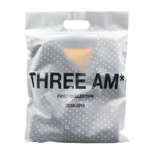 Custom printing Eco-friendly resealable plastic ziplock bags with handle for clothes packaging bag