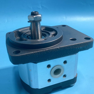 Pompe à engrenages hydraulique 0510225306 AZPF-11-004LCB20MB 4cc 250 bars, rotation à gauche, pompe à huile à engrenages externes pour - Product Image 6